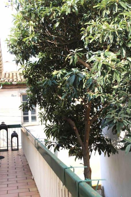 Spacieux Appartement 4 Couchages, Terrasse Privee นาร์บอนน์ ภายนอก รูปภาพ